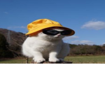優しい力