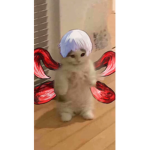 Bobux l0l