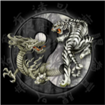 The Dragons Element
