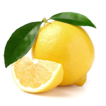 The lemon studio