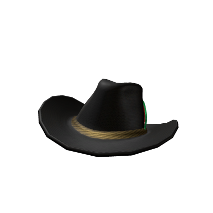 Slightly Tilted Black Cowboy Hat