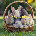 Bunny Burrow