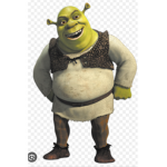 SHREK CULT 2.0