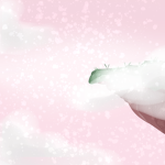 Flight.