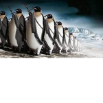 PENGUINS INVADE