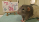 ArTIsT RAt