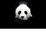 参0SIT0 ก็็็็็็็็็็็็็ʕ•͡ᴥ•ʔ ก้้้้้้้้้้้参