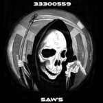 Sow's