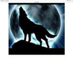 The dark wolf squad