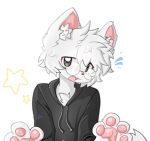 awesum_pawsome