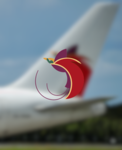 Air Niugini TM