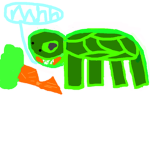 The Turtle And Tortoise Squad