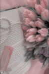 -*|| siennas closet ||*-