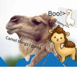 epic camel gang