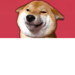 Doge Inc!