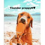 Thunder preppy