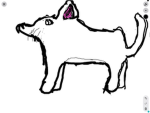 The fox is here