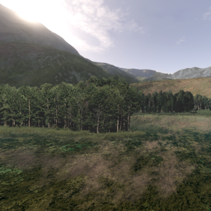 Skybox Camo