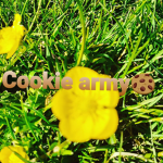 Girls Army:)