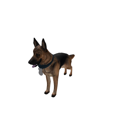 K9-System