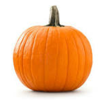 “THE PUMPKINEERS”