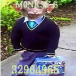 M0NK3Y.S