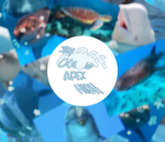 Ocean_Apex_High