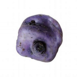 REALpotato gang