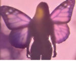 Butterfly Aesthetic Clothing <3