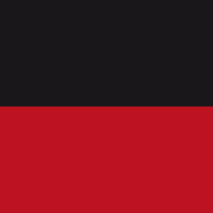 Black and Red Anarchist Flag Roblox decal