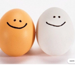 Egg Group!