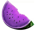 Enchanted Melons