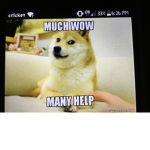 #Doges squad