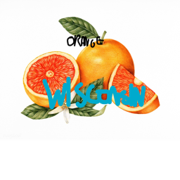 Orange Wisconsin Hotels!