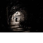 The Cult Filled with Darkness