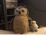 Owl vibe