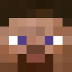 The minecraft steve house