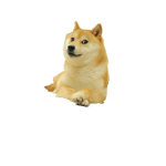 DOGE#2