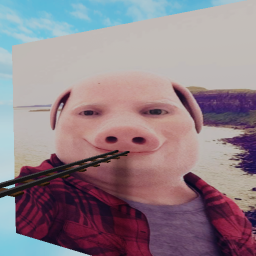 CART RIDE INTO JOHN PORK !!!