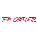 TEAM CYBERNETIC