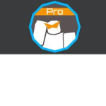 Tower Of Hell Pro’s