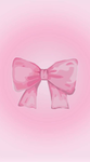 Pookie_4_DTI