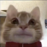 ########### ##### 7u7 |