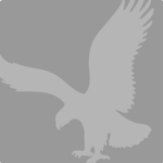 Kielsen Group