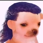 Lorenzofox1