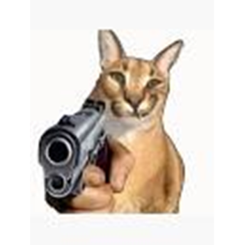 หนีจากนักฆ่าฟลอปปา