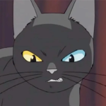 Bad Kitty Gang