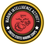 Intelligence Αctivity