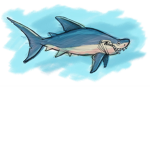 Doverville sharks