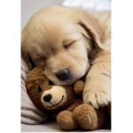 dogs we love forever